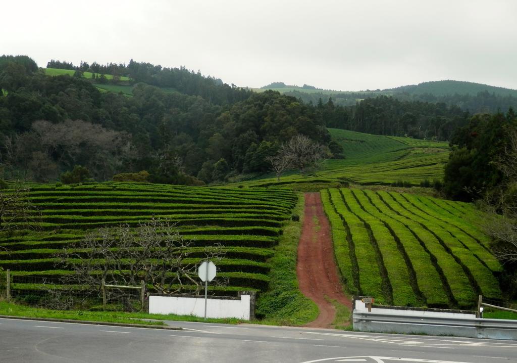 Azorean Sunset Loft Ribeira Grande Exterior foto